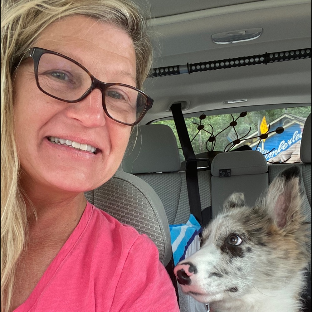 Meet your Posher, Betty